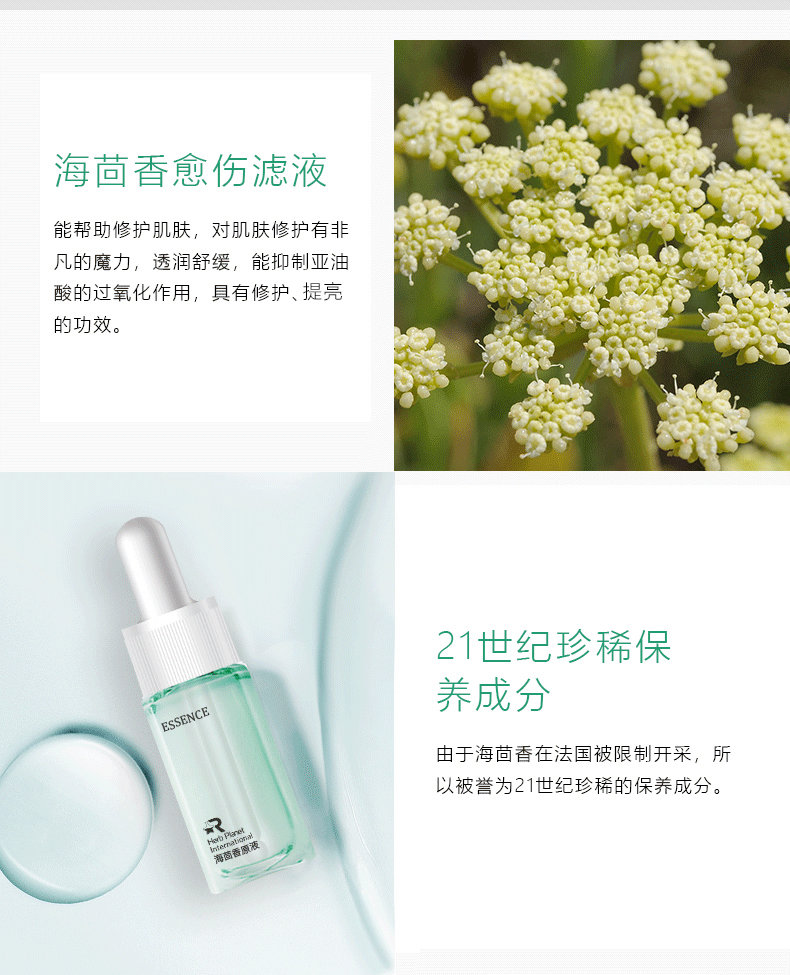 海茴香精華原液OEM代加工